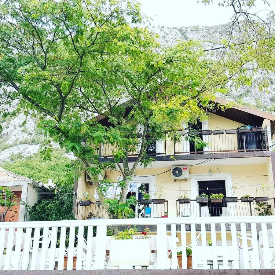 Montenegro Apartmant'S Kotor Exteriér fotografie