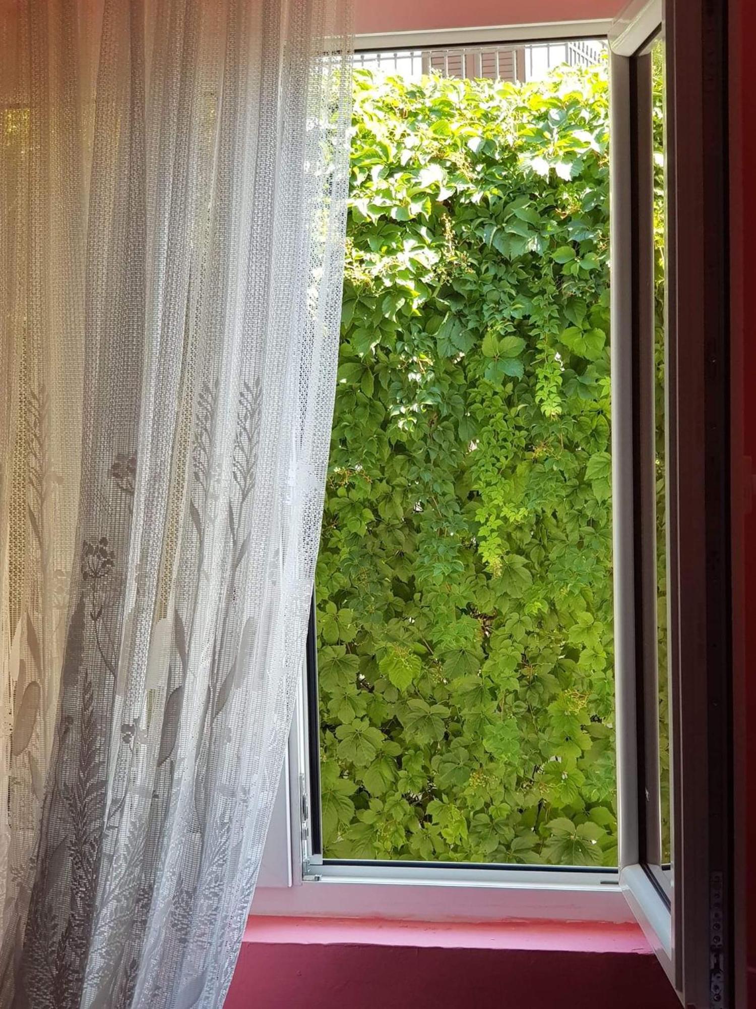 Montenegro Apartmant'S Kotor Pokoj fotografie
