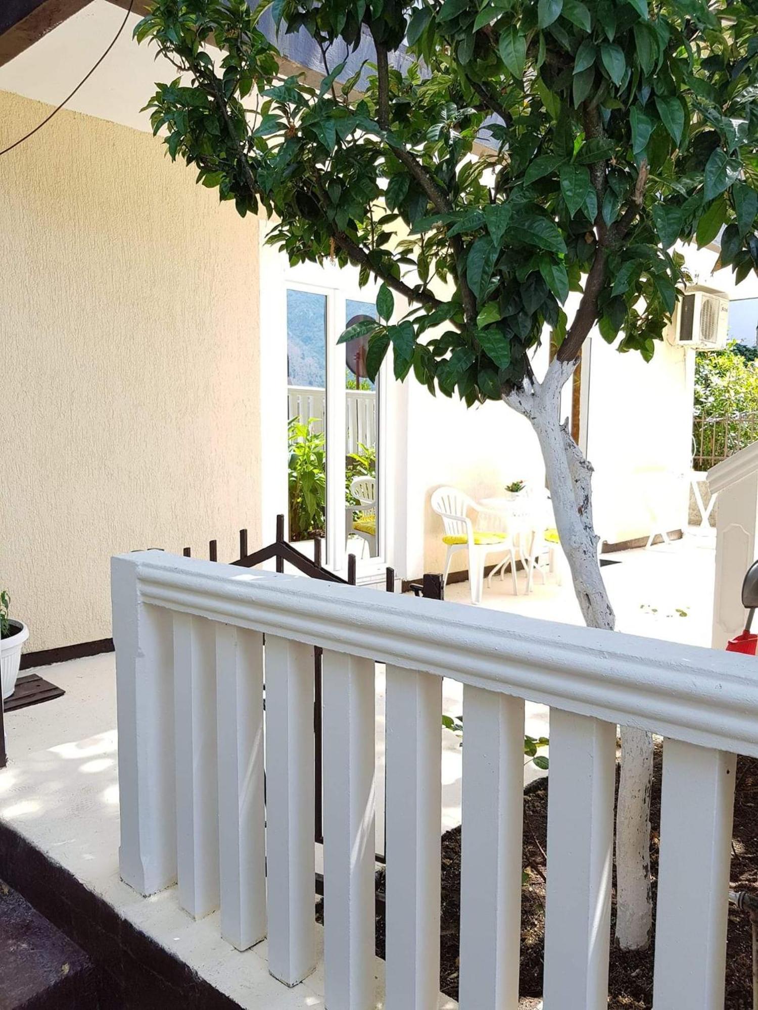 Montenegro Apartmant'S Kotor Pokoj fotografie